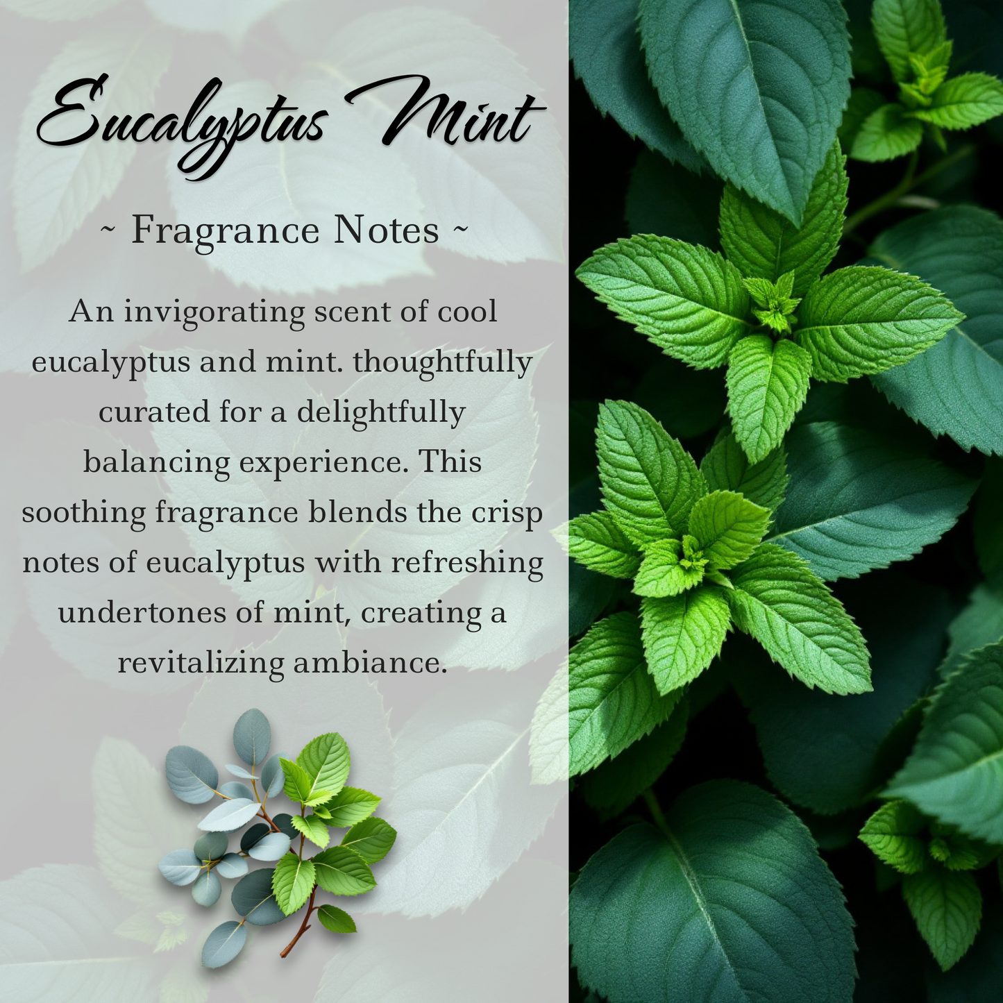 Root Chakra Crystal-Enhanced Reed Oil Diffuser, Cool Eucalyptus Mint, 100ml