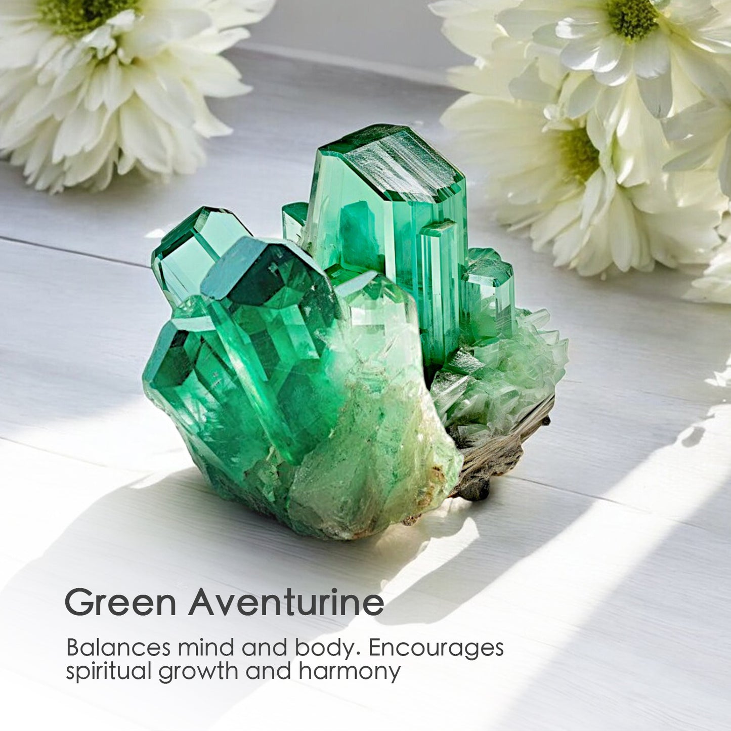 Secret Garden Crystal Candle with Green Aventurine | Coconut-Soy Wax Candle, 9oz