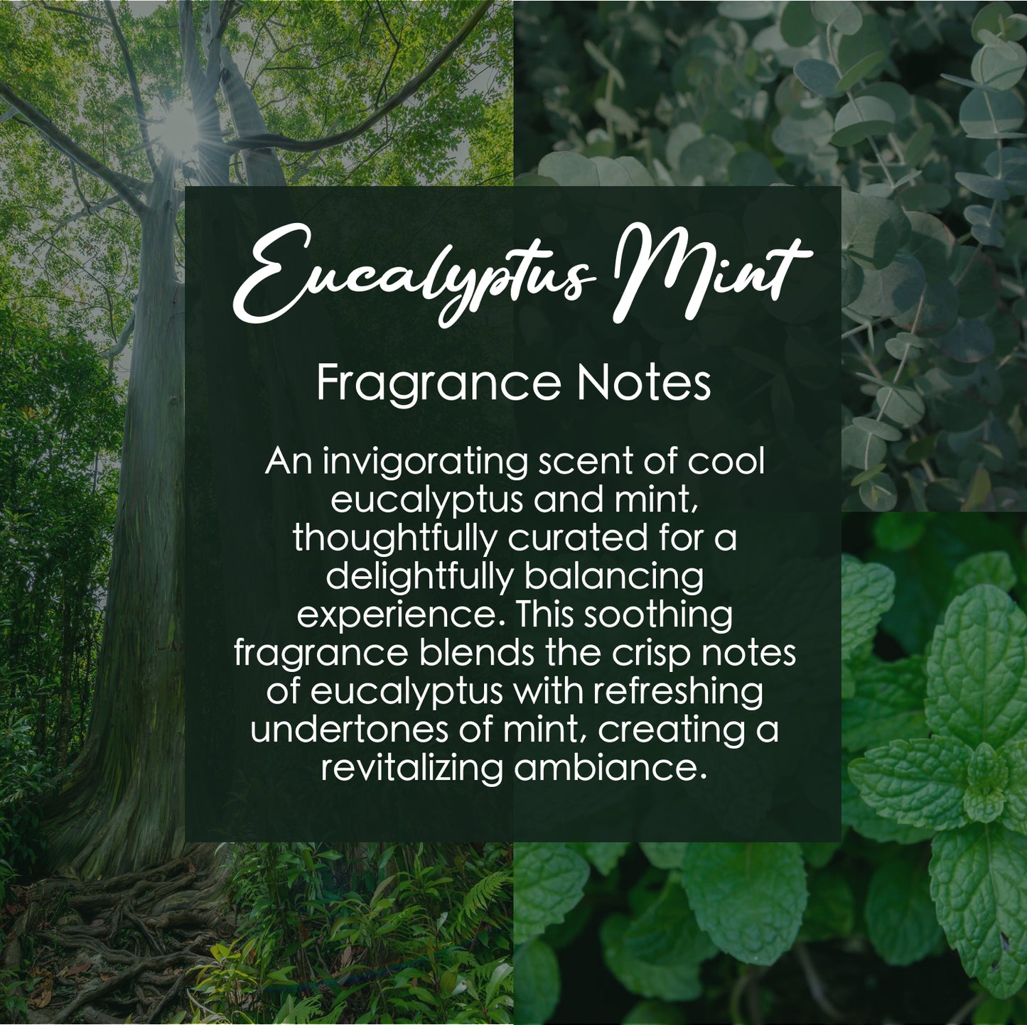 Cool Eucalyptus Mint Crystal Candle with Garnet | Coconut-Soy Wax Candle, 9oz