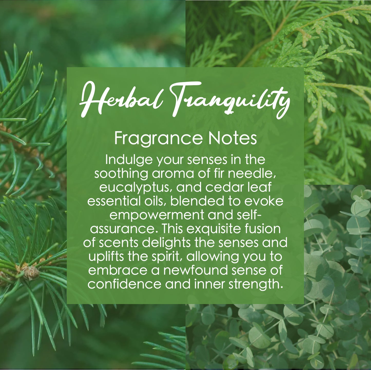 Solar Plexus Chakra Crystal Candle with Citrine | Coconut-Soy Wax Candle, 9oz