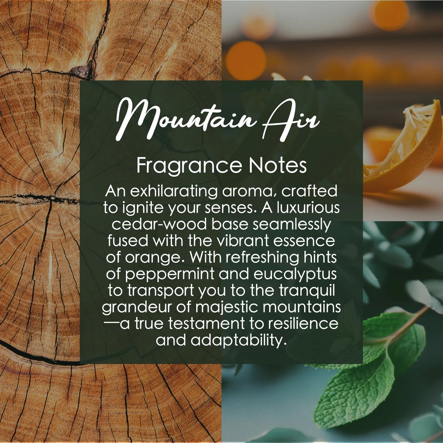 Mountain Air, Premium Coconut-Soy Wax Tea Light Crystal Candle, 1oz