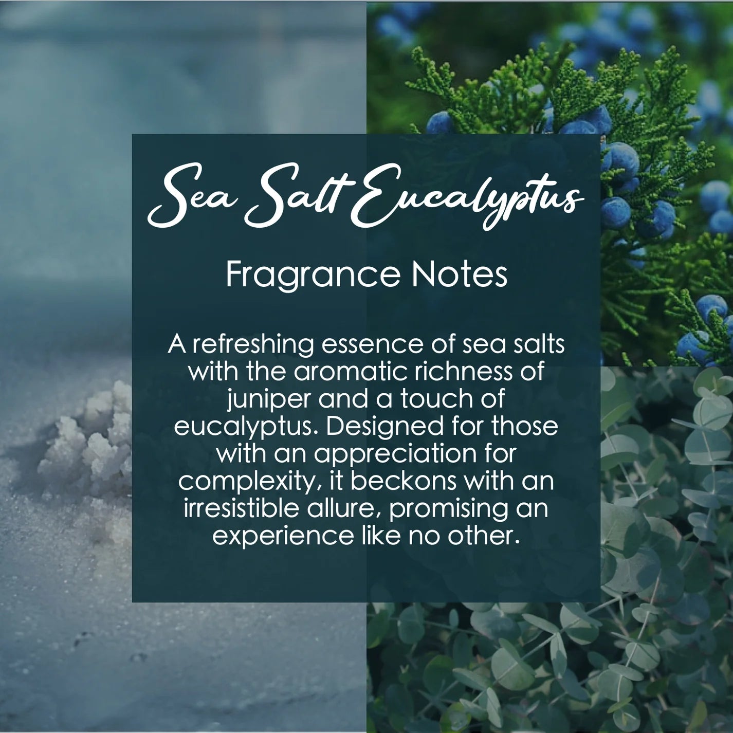 Sea Salt Eucalyptus, Premium Coconut-Soy Wax Tea Light Crystal Candle, 1oz
