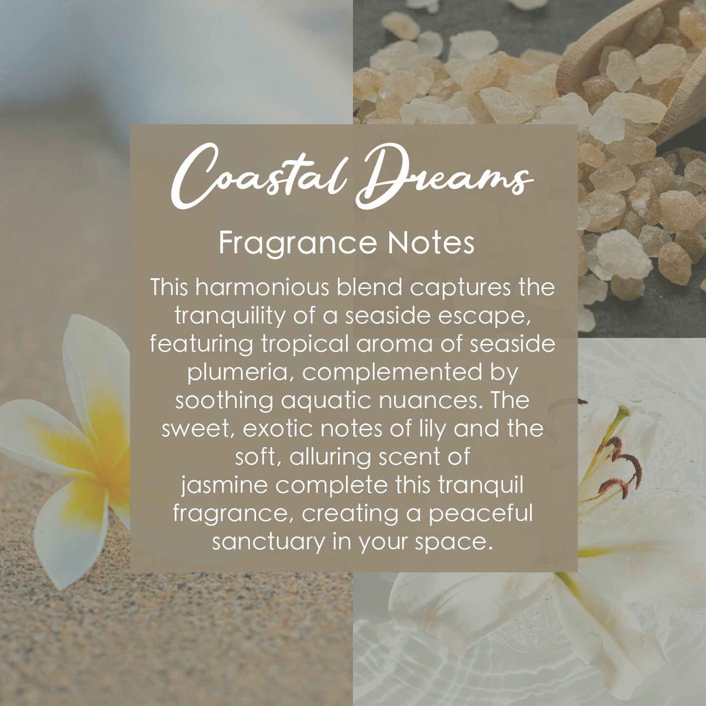 Coastal Dreams Crystal-Enhanced Premium Coconut-Soy Wax Melts