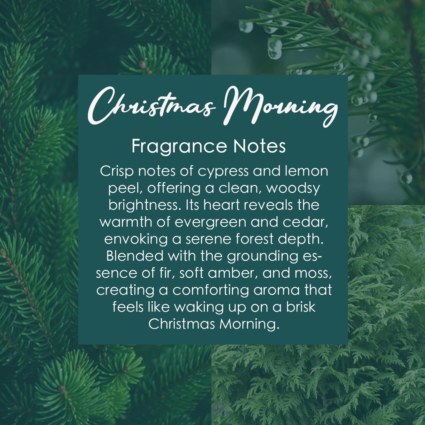 Limited Edition: Christmas Morning Crystal-Enhanced Reed Oil Diffuser, 100ml