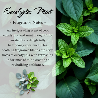 Root Chakra Crystal-Enhanced Reed Oil Diffuser, Cool Eucalyptus Mint, 100ml