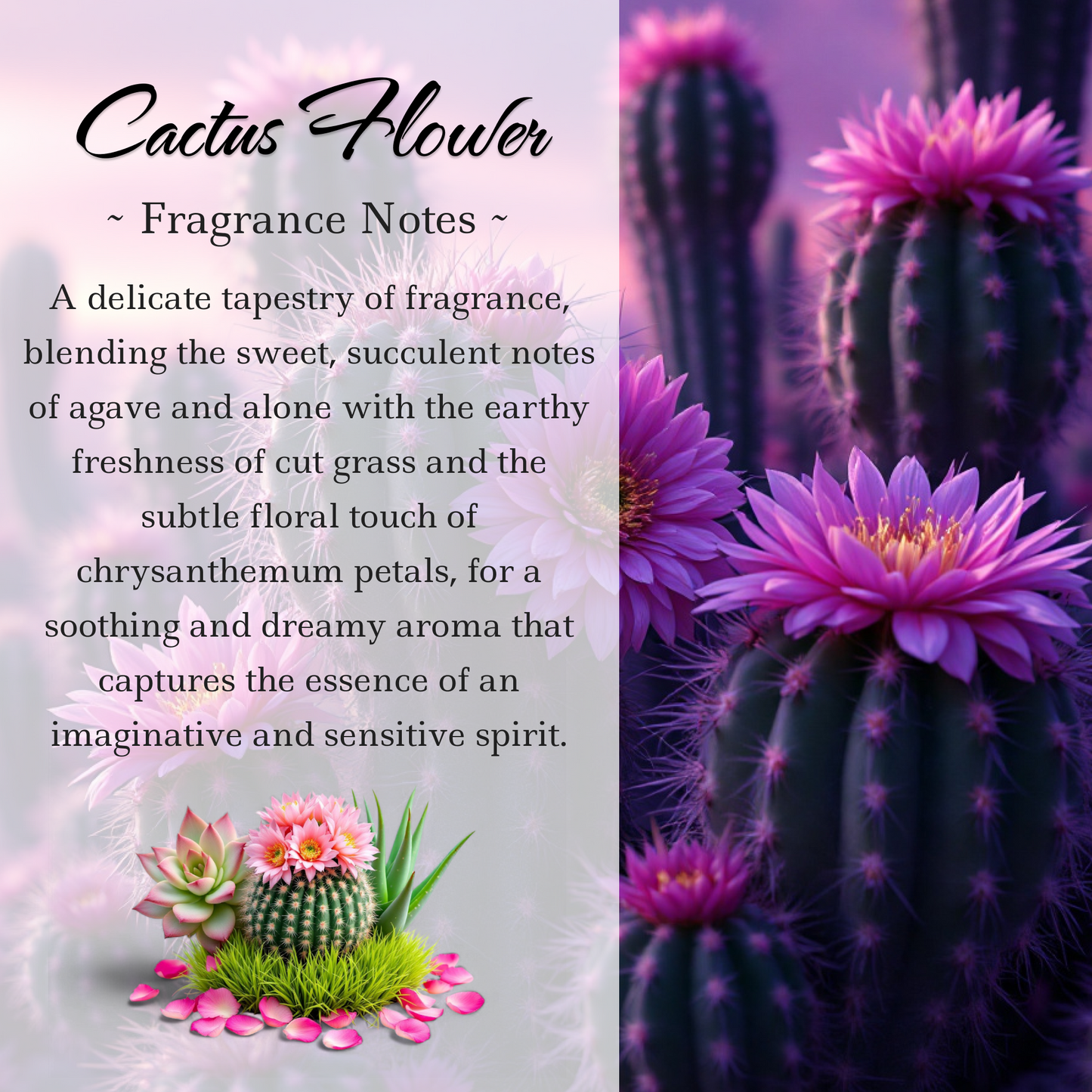 Cactus Flower and Jade Crystal Candle with Kyanite, Amethyst, and Crystal Quartz | Coconut-Soy Wax Candle, 9oz