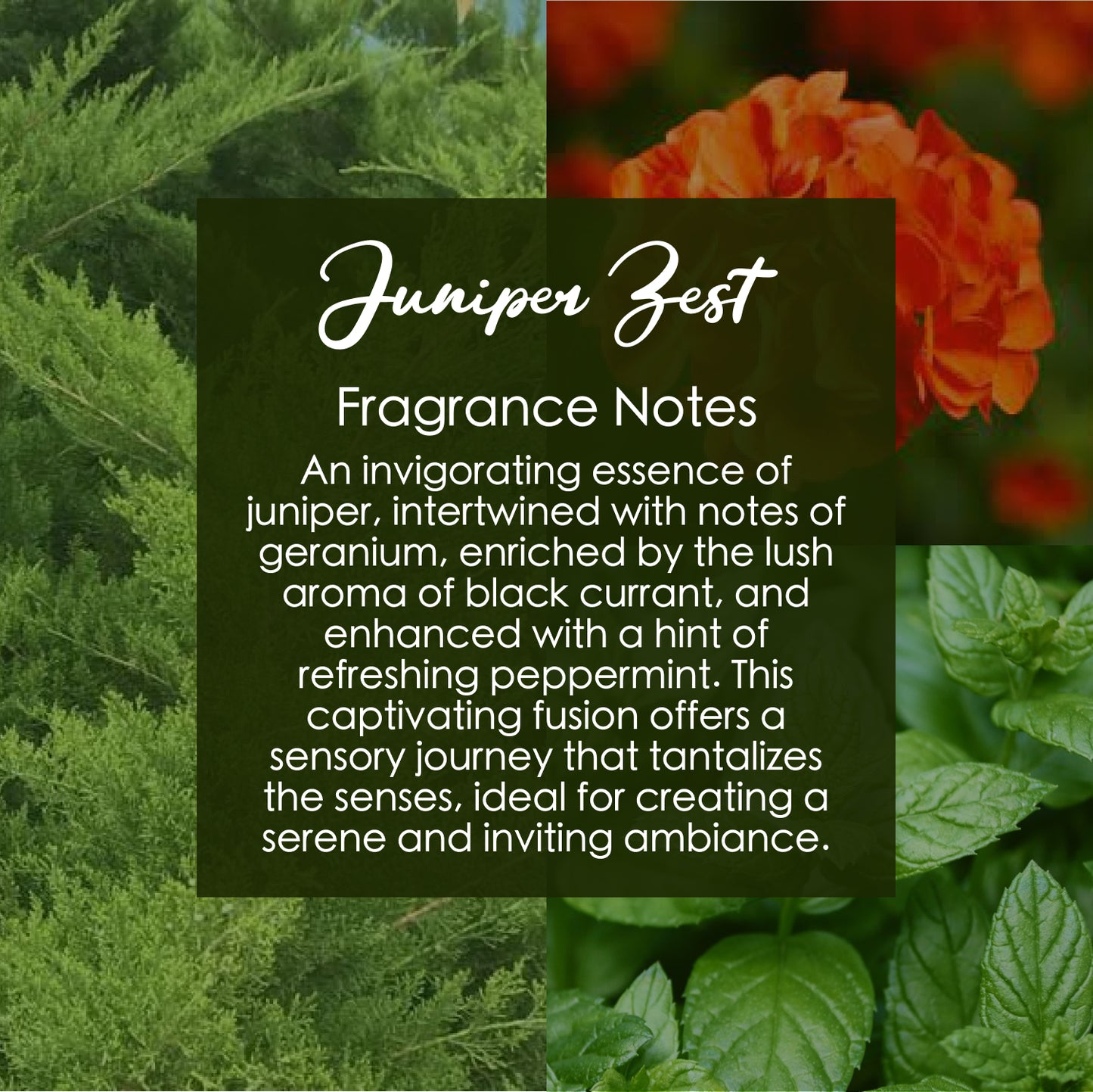 Juniper Zest Crystal-Enhanced Oil Diffuser, Car Air Freshener, 8ml