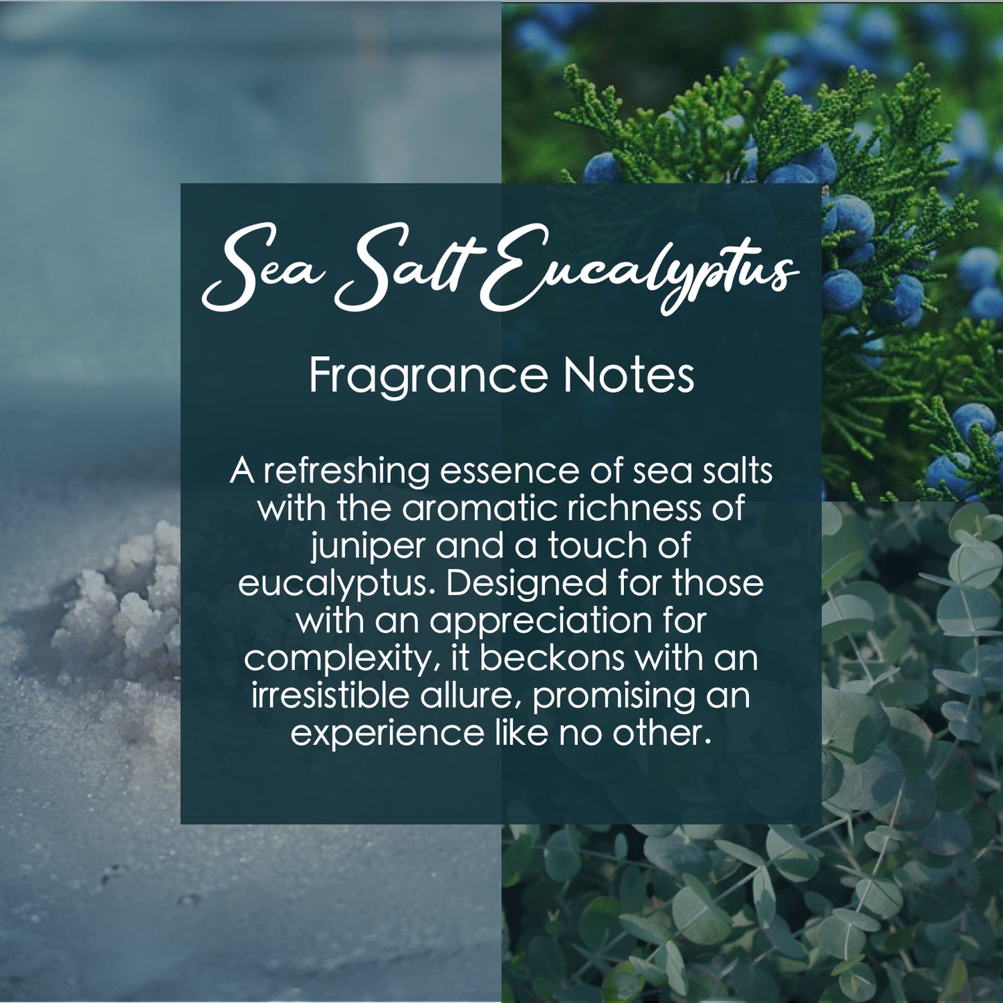 Sea Salt Eucalyptus Crystal-Enhanced Premium Coconut-Soy Wax Melts