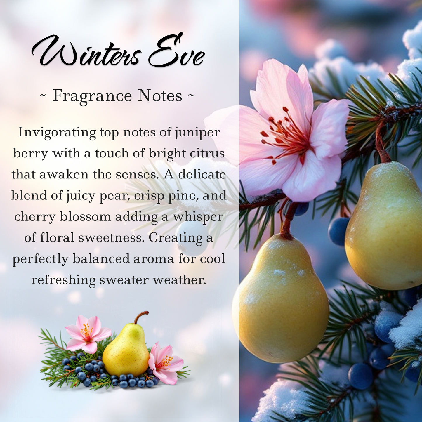 Limited Edition: Winter's Eve Crystal Candle  | Coconut-Soy Wax Candle, 9oz